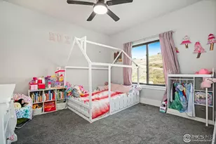 894 Turkey Roost Dr, Livermore, CO 80536 - Photo 31