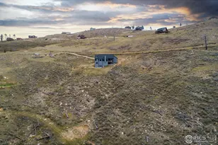 894 Turkey Roost Dr, Livermore, CO 80536 - Photo 45