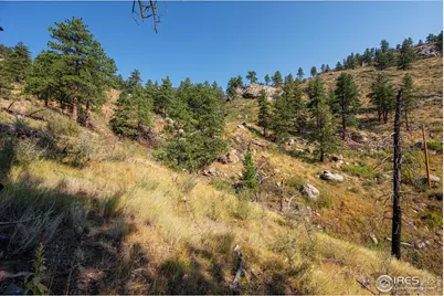 0 Pine Acres Way, Bellvue, CO 80512 - Photo 29