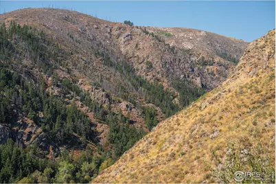 0 Pine Acres Way, Bellvue, CO 80512 - Photo 27