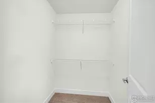 6460 Orchard Park Dr, Greeley, CO 80634 - Photo 23