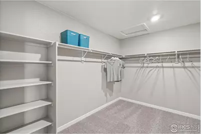 6505 Ankina Dr, Windsor, CO 80528 - Photo 23