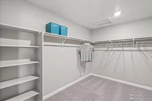 6505 Ankina Dr, Windsor, CO 80528 - Photo 23