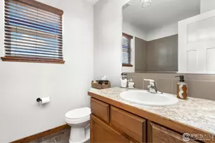 6962 Pettigrew St, Wellington, CO 80549 - Photo 21