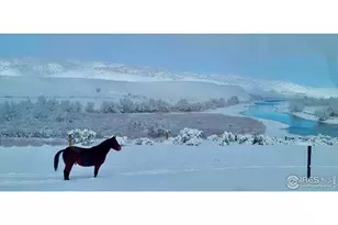 55775 Hwy 318, Maybell, CO 81640 - Photo 43