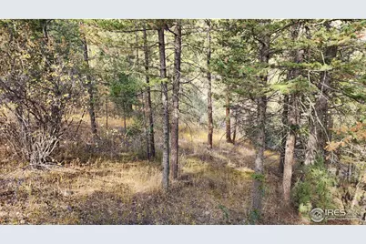 84 Copper Hill Rd, Glen Haven, CO 80532 - Photo 15