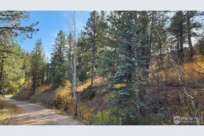 84 Copper Hill Rd, Glen Haven, CO 80532 - Photo 19