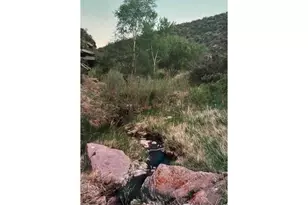 2420 Ponderosa Hill Rd, Lyons, CO 80540 - Photo 37