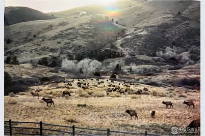 2420 Ponderosa Hill Rd, Lyons, CO 80540 - Photo 7