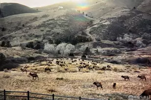 2420 Ponderosa Hill Rd, Lyons, CO 80540 - Photo 7