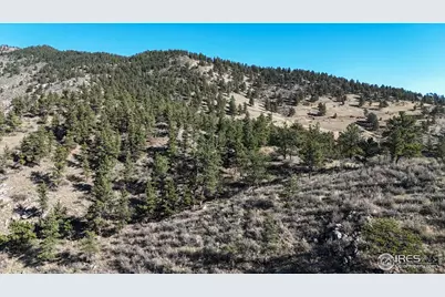 2420 Ponderosa Hill Rd, Lyons, CO 80540 - Photo 35
