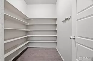 2178 Longfin Dr, Windsor, CO 80550 - Photo 7