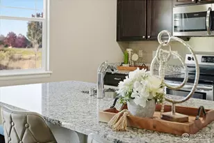 2178 Longfin Dr, Windsor, CO 80550 - Photo 9