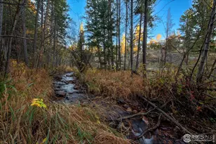 1997 Big Owl Rd, Allenspark, CO 80510 - Photo 11