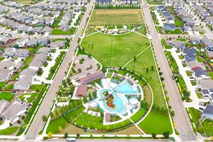 1961 Rose Petal Dr, Windsor, CO 80550 - Photo 39