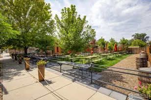 1202 Allen Ave, Erie, CO 80516 - Photo 41