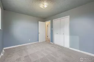 331 Frederick Dr, Loveland, CO 80537 - Photo 23