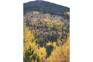 1565 Hwy 66, Estes Park, CO 80517 - Photo 23