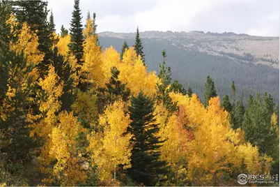 1565 Highway 66 #33, Estes Park, CO 80517 - Photo 23