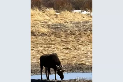 1565 Highway 66 #33, Estes Park, CO 80517 - Photo 1