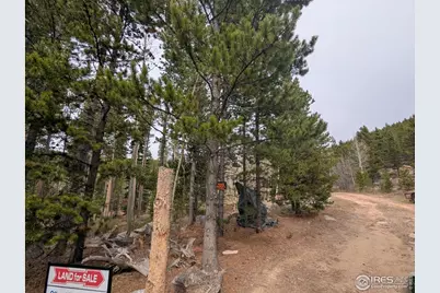 2174 Bear Gulch Rd, Red Feather Lakes, CO 80545 - Photo 21