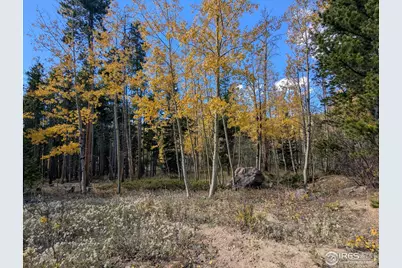 2174 Bear Gulch Rd, Red Feather Lakes, CO 80545 - Photo 9