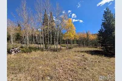 2174 Bear Gulch Rd, Red Feather Lakes, CO 80545 - Photo 11