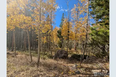 2174 Bear Gulch Rd, Red Feather Lakes, CO 80545 - Photo 5