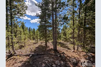 2174 Bear Gulch Rd, Red Feather Lakes, CO 80545 - Photo 19