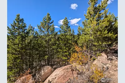 2174 Bear Gulch Rd, Red Feather Lakes, CO 80545 - Photo 17