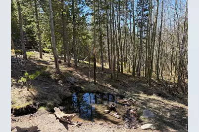 2174 Bear Gulch Rd, Red Feather Lakes, CO 80545 - Photo 3