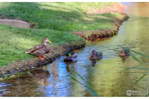 1850 Folsom St, Boulder, CO 80302 - Photo 35