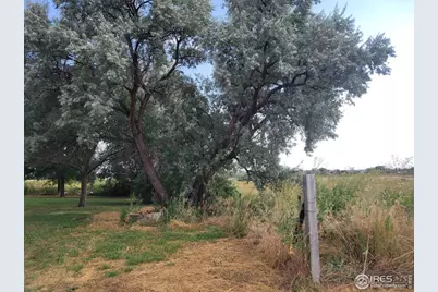 5818 County Road 22 #4, Longmont, CO 80504 - Photo 5