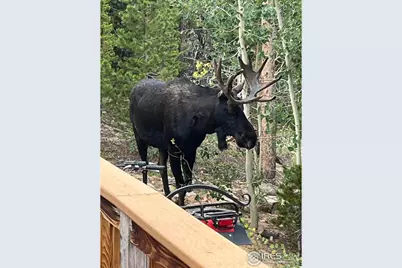 44 Natchez Cir, Red Feather Lakes, CO 80545 - Photo 25