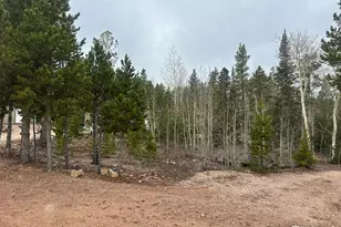 44 Natchez Cir, Red Feather Lakes, CO 80545 - Photo 17