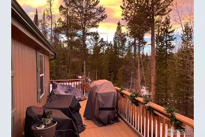 44 Natchez Cir, Red Feather Lakes, CO 80545 - Photo 23