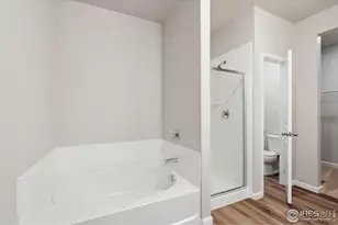 964 Cascade Falls St, Severance, CO 80550 - Photo 15