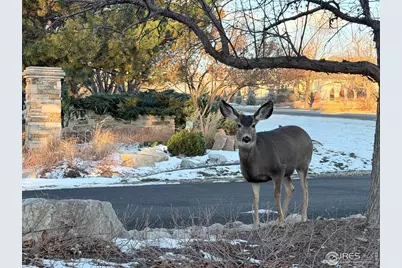 5360 Lighthouse Point Ct, Loveland, CO 80537 - Photo 43