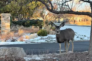 5360 Lighthouse Point Ct, Loveland, CO 80537 - Photo 43