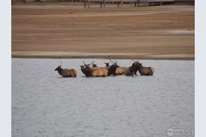 5360 Lighthouse Point Ct, Loveland, CO 80537 - Photo 41