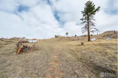 107 Mount Audubon Way, Livermore, CO 80536 - Photo 5