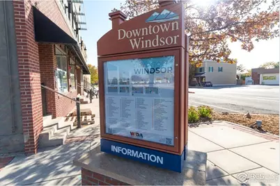 203 4th St, Windsor, CO 80550 - Photo 9