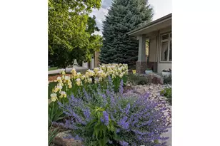 1577 Bison Run Dr, Windsor, CO 80550 - Photo 45