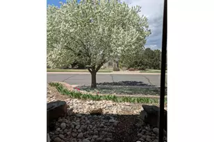 1577 Bison Run Dr, Windsor, CO 80550 - Photo 45