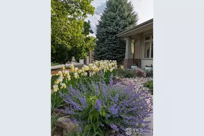 1577 Bison Run Dr, Windsor, CO 80550 - Photo 45