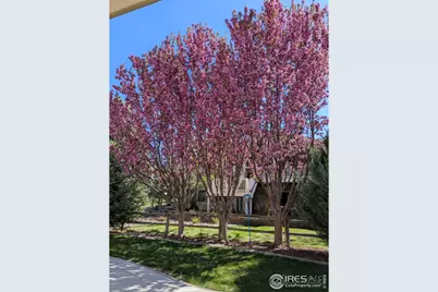 1577 Bison Run Dr, Windsor, CO 80550 - Photo 41