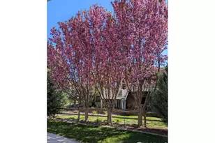 1577 Bison Run Dr, Windsor, CO 80550 - Photo 41