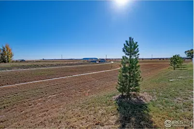 925 Greenbrook Dr, Windsor, CO 80550 - Photo 39