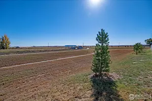 925 Greenbrook Dr, Windsor, CO 80550 - Photo 39