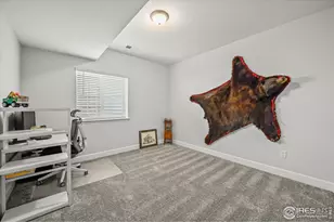 950 Rustling St, Windsor, CO 80550 - Photo 39